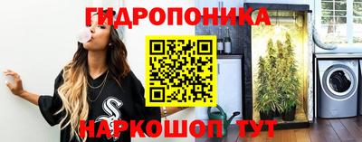 ПСИЛОЦИБИНОВЫЕ ГРИБЫ Заводоуковск