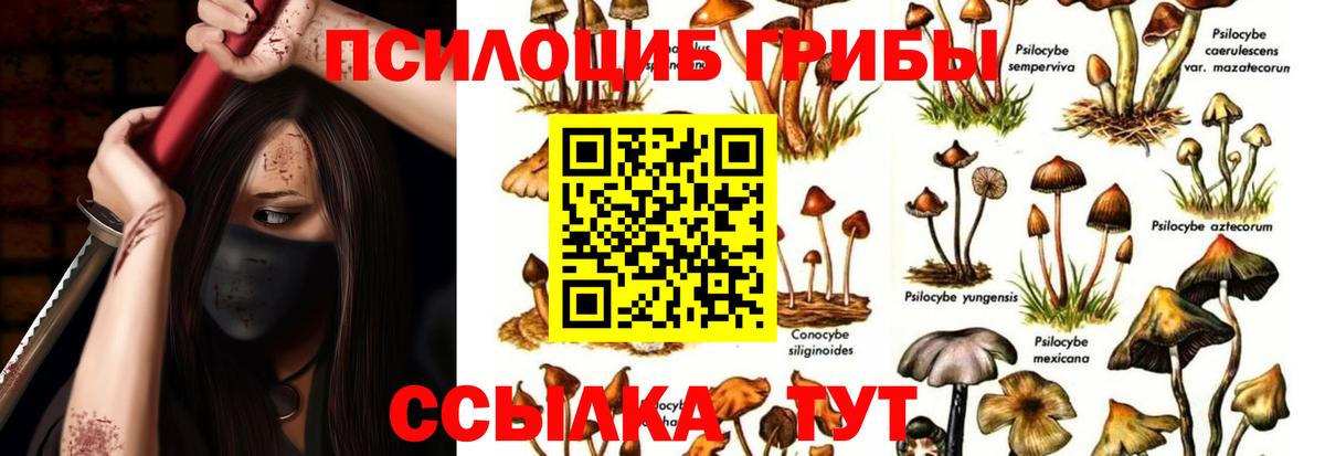 Междуреченск  Галлюциногенные грибы мухоморы  Галлюциногенные грибы Psilocybe  Вход с VPN 
